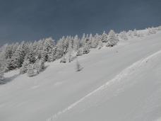 Klik za večjo sliko